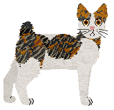 Cat Pose