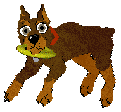 Dog Frisbee