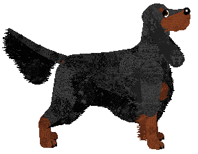Dog Pose
