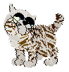 kitten