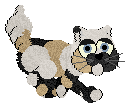 kitten