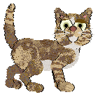 Torbie Cream Brown White.png