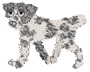 Brindle Merle.png